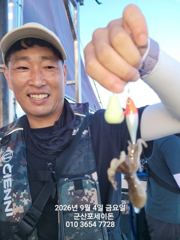 9/4일, 군산주꾸미~오늘도 나오고 있어요~점점 좋아지는 쭈꾸미…