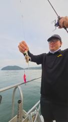 (南)남해조황 - 9월 3일 장원 새자리수 오버 쭈꾸미 조황임다!