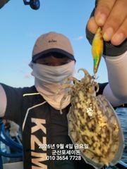 9/4일, 군산주꾸미~ ~점점 좋아지는 쭈꾸미 굿조황~군산 포세이돈호
