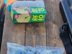 9월 4일 해룡호 조황정보