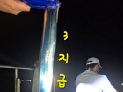 [마산] 내만갈치 사이즈 마리수 굿굿!!! 100수 이상 낚낚GOGO~