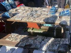 조황갤러리 - 9월4일(금요일) 쭈갑 - 대천항 까칠이호,배낚시,바다낚시