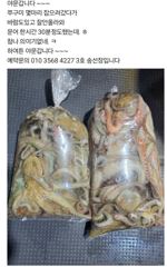 조업 다녀왔습니다 1시간 30분 조업