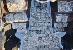 2026년 9월4일 발키리7호 바람부는날 쭈갑낚시 장원 440수