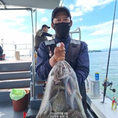 9월4일 팔포1호 돌문어사냥 장원17수 찍고 마무리합니다 ((쭈꾸미 &돌문어사냥 계속이어집니다))