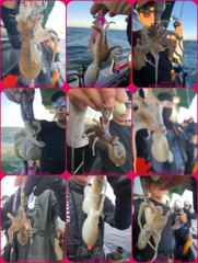 ◆쭈꾸미 실시간◆9월 4일◆군산 해룡호◆