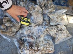 [홍원항 신세계호] 9월4일(금) 4일차 쭈꾸미 조황