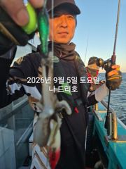9/5일, 군산주꾸미~오늘도 나오고 있어요~실시간~점점 좋아지는 쭈꾸미조황~군산 나드리호