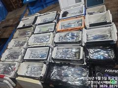 [진해] 내만갈치~씨알제법큰놈들 많이잡고왔습니다~오늘부터 예약가능합니다