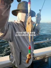  9/5일, 날마다 주꾸미~가족과 함께 하면 재미있는낚시~~실시간~점점 좋아지는 쭈꾸미조황~군산 챔피언호