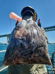 녹동돌문어 날마다 대박조황 ~~