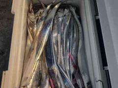 [진해] <내만갈치>선비 이벤트! 3지급들 피딩피딩 최신굳조황