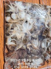 ★★ [군산대일피싱] 마루호 쭈꾸미 조황입니다. 다음주 평일 자리있습니다.