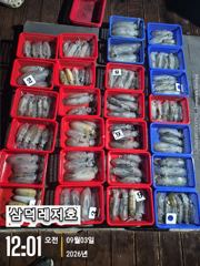 [통영] [팁런]무늬.100수는 가볍게 넘기고 (월요일 16시,출항)