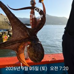 [사천] 어제 오늘 문어 장원 17마리