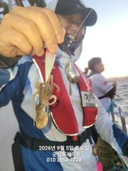 9/5일, 쭈구미가 주는 행복~갑이는 보너스~연일 계속되고 있어요~굿조황~군산 포세이돈호