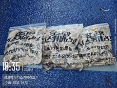 9월5일쭈꾸미오후짬낚시조황입니다