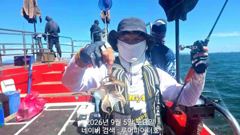 루어파이터호-9/5 토 [무시] 쭈꾸미/갑오징어 조항 입니다.