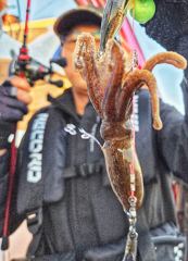 오늘의조황 - [배쯔호] 9월5일 주꾸미낚시 - 마검포 팀바이트호,선상낚시 전문
