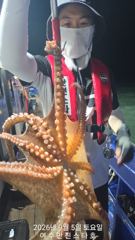 출조안내 - [ 진도보디가드호 ] ==>> 심선장 ==>> 9/5(토),6(일)==>태도 & 홍도권으로 왕갈치 출조 합니다. << 자리여유 많이 있습니다. >>