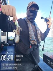 9월 5일 쭈꾸미 조황입니다.