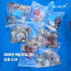 9월5일 오후 조황