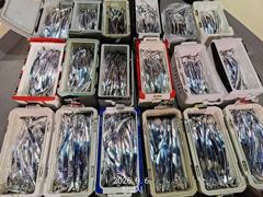 [사천] 삼천포 산분령 유료낚시터 9/5 조황입니다!!