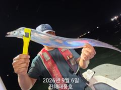 6일 입항 내만갈치 담배갑 사이즈까지 엄청 잡았습니다. 오늘 예약가능.