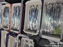 [진해] 와~내만칼치 3지까지 엄청나게 퍼담고 대박조황~일,월,화욜예약가…