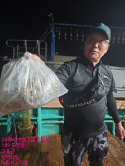 출조안내 - [ 여수만진스타호 ] 새벽전투문어 오늘도 굿굿 조황~!! 총 200수 오바 장원 23수~~ 오늘 밤 집결 자리여유!!
