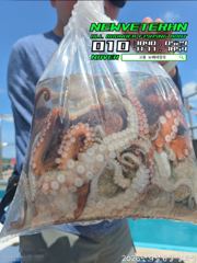 (南)남해조황 - [고흥뉴베테랑호]26.09.06 문어조황