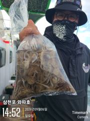 쭈꾸미 잘탑니다 내일 선수모집합니다