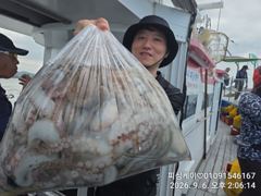 돌문어! 큰 봉다리가 빵빵합니다~~낼 자리 많아요!