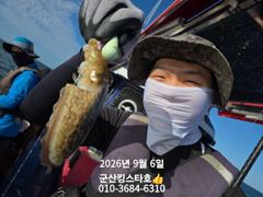 군산킹스타호(9/6)쭈꾸미 마무리조황(9/8~예약가능합니다