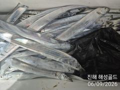 내만갈치 남 여 어린이누구나 함께 손맛입맛 월 화 수예약가능
