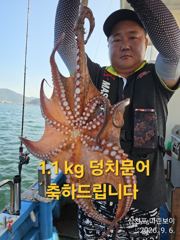 [사천] 삼천포 마린보이 9.6.일요일 주간문어 대박조황으로 다녀왔습니다…