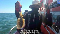 루어파이터호-9/6 일 [1물] 쭈꾸미/갑오징어 조항 입니다.