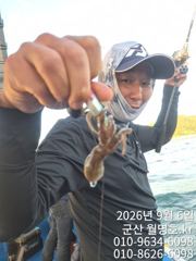 [군산] 9/6 쭈꾸미