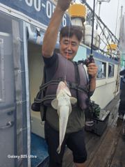오늘의 조황 - 비갠후 백조기낚시 다녀왔습니다 - 영목항 섬스타호