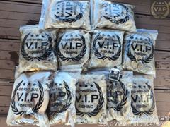 09월 06일 오천항VIP호 쭈꾸미&갑조황