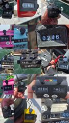[쭈·갑조황] 26.9.6 미라클호 쭈갑 조황