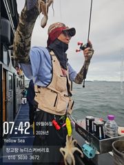 9월 6일 쭈꾸미 조황입니다.