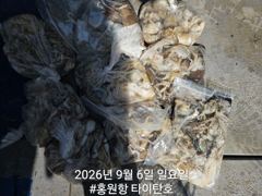 오늘의조황 - [홍원항 타이탄호] 9월6일(일) 야들야들 하지만 손맛은 일품인~ - 홍원항 블랙펄호,배낚시,바다낚시,광어 다운샷, 참돔 타이라바, 백조기, 주꾸미, 갑오징어, 우럭