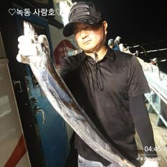 갈치