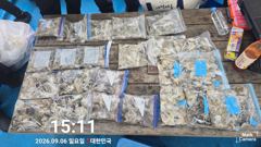 9월6일 쭈 조황입니다