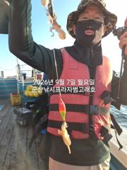 7일, 군산쭈꾸미~오늘은 날씨 굿~나오고 있어요~실시간~내일 주간문어갑니다~~~군산낚시프라자 범고래호