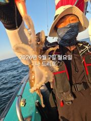 7일, 군산쭈꾸미~오늘도 시작~나오고 있어요~실시간~내일 주간문어갑니다~~~군산낚시프라자 나드리호