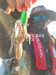 7일, 군산쭈꾸미~오늘도 시작~나오고 있어요~실시간~내일 주간문…
