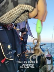 쭈.갑 먹물조황+ - 7일, 군산쭈꾸미 좋아요~제법 싸이즈 좋은 쭈꾸미가 나와요~실시간~내일 주간문어갑니다~~오전/오후반~군산 포세이돈호
