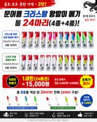 크라운호 쭈꾸미 실시간조황(7일)